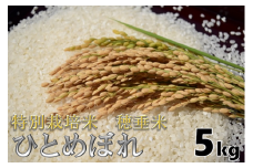 米　精米　白米　特別栽培米　穂垂米　「ひとめぼれ」　5kg　【令和5年産】