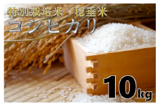米　精米　白米　特別栽培米　穂垂米　「コシヒカリ」　10kg　【令和5年産】