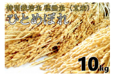 米　玄米　特別栽培米　穂垂米　「ひとめぼれ」　10kg　【令和5年産】