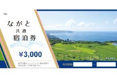 ながと共通宿泊券 30,000円分【宿泊券 旅行 長門市 宿泊 旅行券 補助券 トラベル 観光 チケット 3,000円分×10枚 山口県】