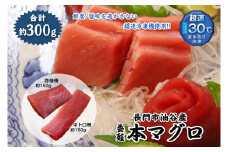 油谷産養殖本マグロ 柵セット【マグロ 刺身 冷凍 柵 中とろ さく 中トロ 赤身 まぐろ 鮪 さしみ 急速冷凍 長門市】