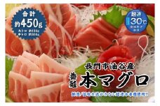油谷産養殖本マグロ 大トロ 中トロ 柵セット【刺身 冷凍 まぐろ さく マグロ 柵 冷凍 中とろ 大とろ 鮪】