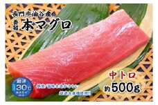 油谷産養殖本マグロ 中トロ柵 500g【刺身 柵 マグロ 中とろ まぐろ 鮪 中トロ トロ とろ さしみ さく 冷凍】