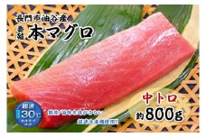 油谷産養殖本マグロ 中トロ柵 800g【マグロ 中トロ まぐろ 柵 刺身 中とろ さく 鮪 冷凍 急速冷凍】