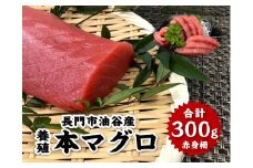 本マグロ 赤身柵 ３００g 【マグロ 刺身 さく まぐろ 柵 冷凍 赤身 鮪 山口県 長門市 油谷産 希少 養殖 脂乗り抜群 とろける ギフト 贈答】