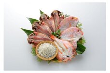 干物 山口県産 干物セット アジ開き カレイ 連子鯛 釜揚げちりめん のどぐろ 詰合せ 新鮮