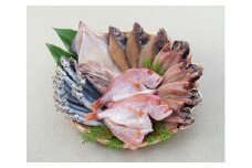 干物 山口県産 干物セット アジ開き カレイ 連子鯛 するめいか開き うるめ丸干し 詰合せ 新鮮