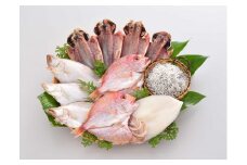 干物 山口県産 干物セット アジ開き カレイ 連子鯛 釜揚げちりめん 剣先イカ 詰合せ 新鮮