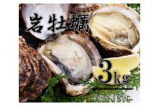 岩牡蠣 岩カキ かき 牡蠣 海のミルク 濃厚 クリーミー 夏バテ防止 3kg 加熱用