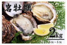 岩牡蠣 岩カキ かき カキ 海のミルク 濃厚 クリーミー 夏バテ防止 2kg 冷蔵 生 加熱用