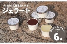 ジェラート むかつくジェラート アイス 6個入り 詰合せ おまかせ アイスクリーム ギフト プレゼント 長門市