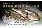 栄養たっぷり！「日本海産 天然まふぐ」の弾力ある新鮮な切身を使用しています。