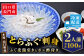 とらふぐ刺身 約60g ／ ふぐ皮湯引き 約40g ／ 山口名産ゆずきち入りポン酢付き ／ 紅葉おろし付き