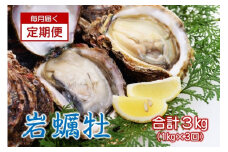 岩カキ 牡蠣 岩牡蠣 海のミルク 濃厚 クリーミー 夏バテ防止 1kg×3回 冷蔵 焼き 蒸し 加熱 定期便 定期  毎月コース 長門市 