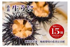 殻付きウニ 訳あり15個 訳アリ 小サイズ生うに 雲丹 (1個約5cm未満) 長門市 ムラサキウニ