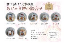 あげかき餅 詰合せ かき餅 10袋セット 80g×10袋 おすそわけ 小分け 小袋 長門市