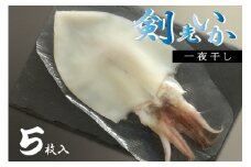 剣先イカ 一夜干し 山口県産 いか  イカ 烏賊 5枚セット 真空パック 長門市