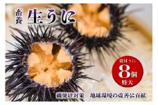 殻付きウニ 特大8個 生うに 雲丹  長門市 ムラサキウニ 