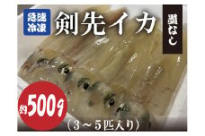 剣先イカ 冷凍 墨なし 急速冷凍 真空パック 約500g 3～5杯 長門市