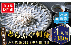 とらふぐ 刺身 4人前（冷凍）【ふぐ刺し ふぐ 皮 刺身 ふぐ刺身 ふぐさし フグ 河豚 海鮮 配送日指定可能 日時指定可能 ★レビューキャンペーン対象★】