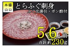 とらふぐ 刺身 5-6人前　冷凍【ふぐ刺身 ふぐ刺し ふぐ 刺身 さしみ ふぐ皮 フグ 河豚 配送日指定可能 日時指定可能 ★レビューキャンペーン対象★ 】