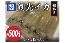 剣先イカ 冷凍 墨あり 急速冷凍 真空パック 約500g 3～5杯 長門市