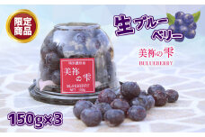 数量限定 ・ 期間限定 生ブルーベリー 「 美祢の雫 」3pセット | ブルーベリー 大粒 超大粒 自家栽培 美祢の雫 限定 数量 期間 フルーツ 果物 果実 お取り寄せ ご当地 山口 美祢 美祢市 特産品 期間限定 数量限定