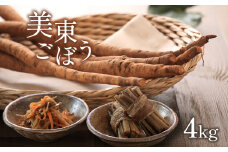 【数量限定】 美東ごぼう (4kg入り箱)　先行予約 ｜ 山口 美祢 美祢市 美東 野菜 ごぼう 牛蒡 美東ごぼう 特産品 ミネコレ 数量限定 先行予約 4kg