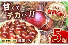 【先行予約】甘くて デカい ! 厚保くり ( 生栗 ) 5kg 山口美祢産 先行予約 ＜2025年10月上旬 ～ 11月中旬 に発送予定＞ 2Ｌサイズ ｜  山口 美祢 栗 くり 厚保 大きい 甘い 大玉 特産品 焼き栗 栗ご飯 生栗 期間限定 季節限定 先行予約 5kg