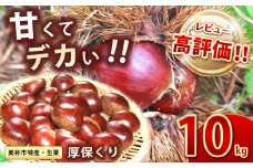 【先行予約】甘くて デカい ! 厚保くり ( 生栗 ) 10kg 山口美祢産 先行予約 ＜ 2025年10月上旬 ～ 11月中旬 発送予定＞ 2Ｌサイズ ｜  山口 美祢 栗 くり 厚保 大きい 甘い 大玉 特産品 焼き栗 栗ご飯 生栗 期間限定 季節限定 先行予約 10kg