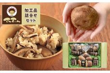 菌床椎茸 さんまいん及び加工品詰め合わせ ｜ しいたけ 椎茸 きのこ さんまいん 加工品 ふりかけ 佃煮 乾燥椎茸 肉厚 料理 味付け 詰め合わせ セット お取り寄せ ご当地 グルメ 山口 美祢市 美祢 特産品