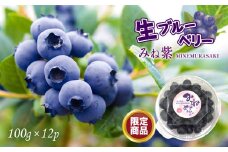 期間限定 生ブルーベリー 「 みね紫 」12pセット  ｜ ブルーベリー 大粒 生ブルーベリー みね紫 フルーツ 果物 果実 お取り寄せ ご当地 山口 美祢 特産品 期間限定 季節限定 限定
