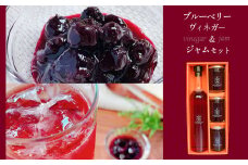 ブルーベリーヴィネガー＆ジャム3本セット ｜ フルーツ 果物 ブルーベリー 自家栽培 ジャム ヴィネガー 黒酢 お酢 無添加 セット 詰め合わせ 贈答用 山口 美祢市 美祢 特産品