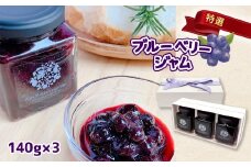特選 ブルーベリージャム 3本セット ｜ フルーツ 果物 果実 ブルーベリー 特選 ジャム 無添加 セット 詰め合わせ 山口 美祢 美祢市 特産品 贈答用 ギフト 無添加