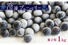 冷凍 ブルーベリー ( 菓子用 ) ｜ 果物 くだもの フルーツ ブルーベリー 冷凍 菓子用 スムージー ジャム 1kg 山口 美祢市 美祢 特産品