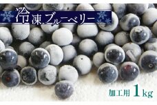 冷凍 ブルーベリー ( 加工用 ) ｜ 果物 くだもの フルーツ ブルーベリー 冷凍 加工用 1kg 山口 美祢市 美祢 特産品 スムージー ジャム