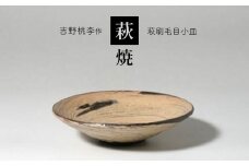 萩焼 吉野桃李作 萩刷毛目小皿 ｜ 和食器 食器 お洒落 オシャレ 工芸品 名産品 萩焼 小皿 皿 キッチン 山口 美祢市 美祢 特産品