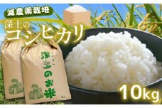 令和7年産 新米 深土の特別米コシヒカリ 10kg ( 5kg × 2袋 )｜令和7年産 有機肥料 減農薬 米 コシヒカリ 精米 山口 美祢 秋吉台 10kg