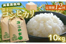 定期便12回 深土の特別米コシヒカリ 10kg×12(1ヶ月毎×12回) ｜  有機肥料 減農薬 精米 お米 こしひかり 山口県 美祢市 秋吉台 10kg 定期便
