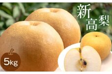 芳醇な香りと上品な甘さ 新高梨 5kg｜なし 梨 果物 くだもの フルーツ ふるーつ 豊水 山口県 美祢市