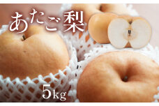 甘さと酸味と食感を楽しむ あたご梨 5kg｜なし 梨 果物 くだもの フルーツ ふるーつ 豊水 山口県 美祢市