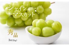 ジューシーな味わい シャインマスカット 秀品 3房 先行予約 ＜ 2025年8月下旬 頃より順次発送予定 ＞ ｜ フルーツ 果物 葡萄 ぶどう シャインマスカット 果実 糖度 甘い 期間限定 山口県 美祢市 美祢