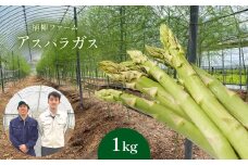 アスパラガス 1kg ｜ アスパラ アスパラガス 野菜 山口 美祢 特産品 名産品 旬の野菜 野菜 1kg