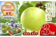 美祢市産 秋芳梨 ( 進物梨 ) 3kg 先行予約 〈2025年8月下旬より順次発送予定〉｜ 二十世紀 なし 梨 フルーツ 特産品 美祢市 山口県 美祢 秋芳町 秋芳 秋芳梨 進物 進物梨 贈答 果物 くだもの 果実 カルスト台地 先行予約 期間限定 3kg