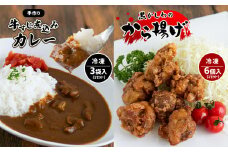 手作り 牛すじ煮込みカレー＆黒かしわのから揚げ 【冷凍】 ｜ カレー 牛すじ 野菜 煮込み からあげ 黒かしわ 地鶏 鶏 鶏肉 手作り 惣菜 セット 詰め合わせ 冷凍 特産品 山口 美祢市 美祢