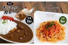 手作り 牛すじ煮込みカレー＆ベーコンとトマトのパスタソース 【冷凍】 ｜ 煮込み カレー 美祢市産 野菜 牛すじ パスタソース トマトソース 惣菜 セット 詰め合わせ 冷凍 特産品 山口 美祢市 美祢
