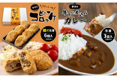 手作り ビーフコロッケ(揚げ)＆牛すじ煮込みカレー 【冷凍】 ｜ ビーフ コロッケ 牛肉 クリーミー カレー 野菜 牛すじ 牛肉 煮込み 惣菜 手作り セット 詰め合わせ 冷凍 特産品 山口 美祢市 美祢