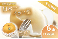あたご梨 約900g×6玉【先行予約：11月より発送予定】｜ 梨 あたご  なし フルーツ 果物 くだもの BIG ビッグ 大きい 特産品 美祢市 山口県 美祢 秋芳 秋芳町 カルスト台地 先行予約 期間限定 900g