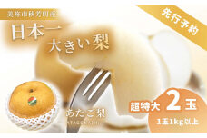 約1kgの超特大 あたご梨 (2玉)【先行予約：11月より発送予定】｜ 梨 あたご  なし フルーツ 果物 くだもの BIG ビッグ 大きい 特産品 美祢市 山口県 美祢 秋芳 秋芳町 カルスト台地 先行予約 期間限定 1kg