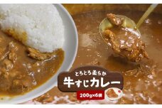 とろとろ柔らか 牛すじカレー (200g×6袋) ｜ カレー 牛すじ 柔らか やわらか コラーゲン 牛肉 肉 にく 山口県 美祢市 美祢 1200g